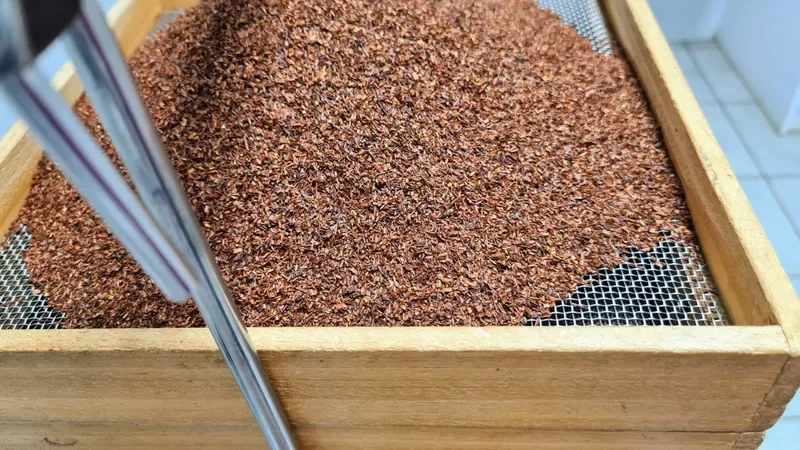 Geoxideerde, dieprode rooibos in een houten zeef.